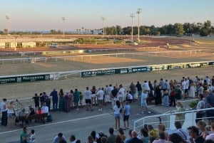 Cagnes-sur-Mer: Hesteveddeløpsdag med en engasjert vert