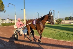 Cagnes-sur-Mer: Hesteveddeløpsdag med en engasjert vert