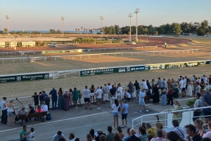 Cagnes-sur-Mer: Hevoskilpailupäivä intohimoisen isännän kanssa