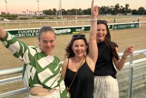 Cagnes-sur-Mer: Hevoskilpailupäivä intohimoisen isännän kanssa