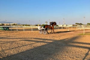 Cagnes-sur-Mer: Hevoskilpailupäivä intohimoisen isännän kanssa