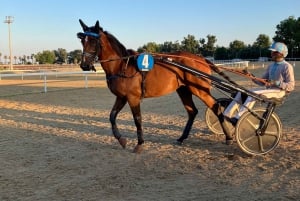 Cagnes-sur-Mer: Hevoskilpailupäivä intohimoisen isännän kanssa