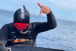 Snorkel y submarinismo en el Parque Nacional de las Calanques