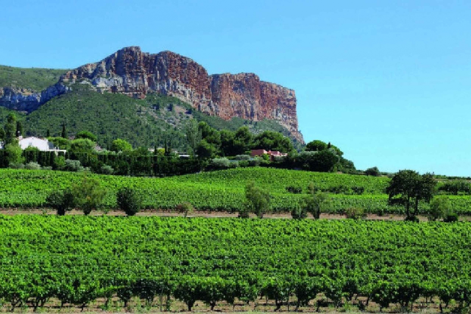 Calanques of Cassis, Aix-en-Provence & Wine Tasting Day Tour