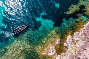 Cannes: 2h30 Excursión Náutica Esterel Calanques