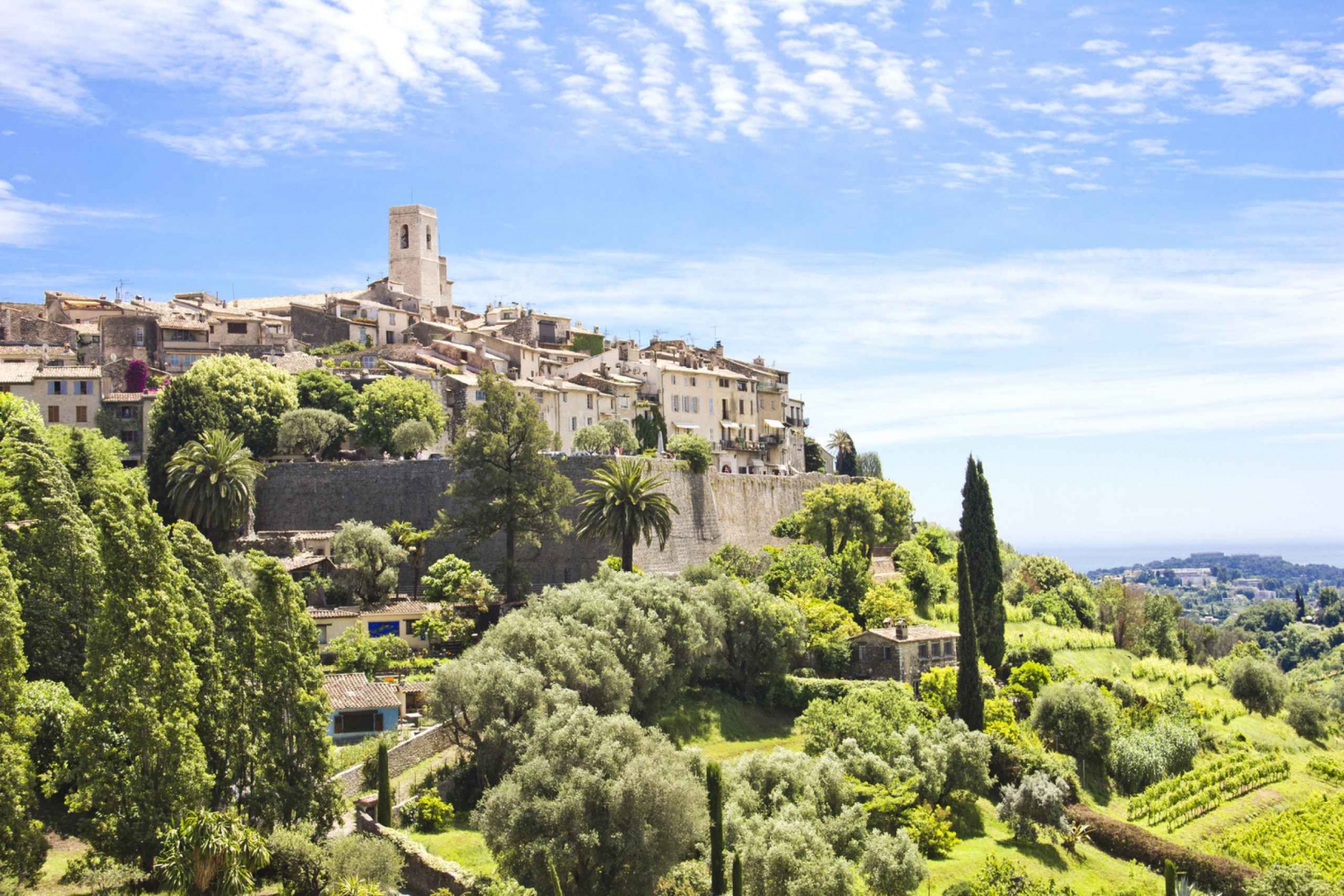 Cannes and Nice: Provence Countryside Private Tour