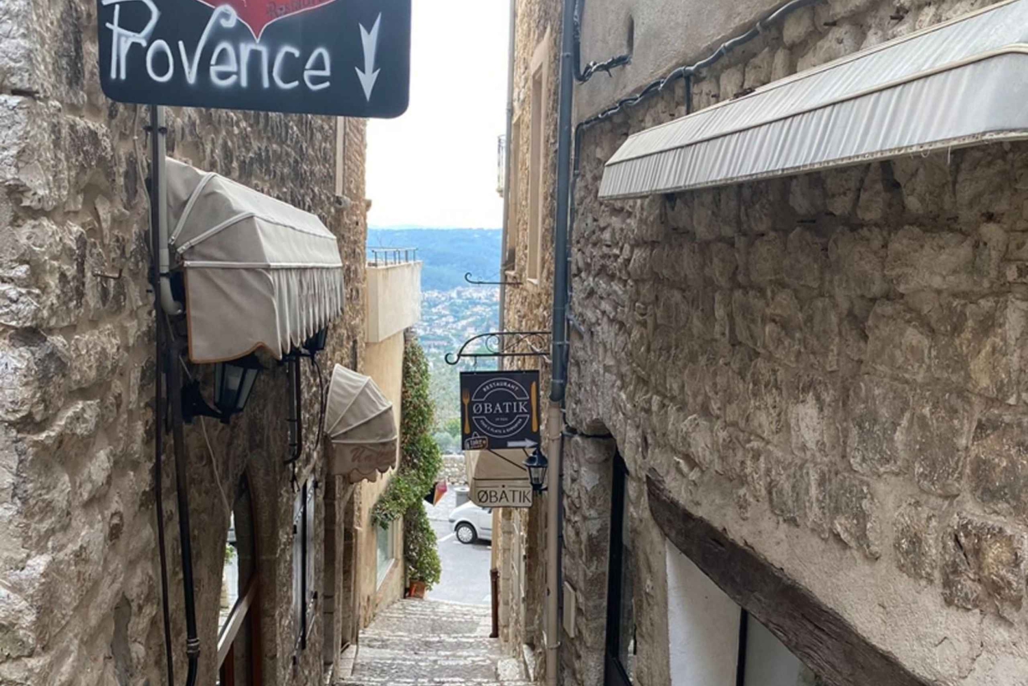 Privat tur til Cannes, Antibes, Mougins og St-Paul-de-Vence