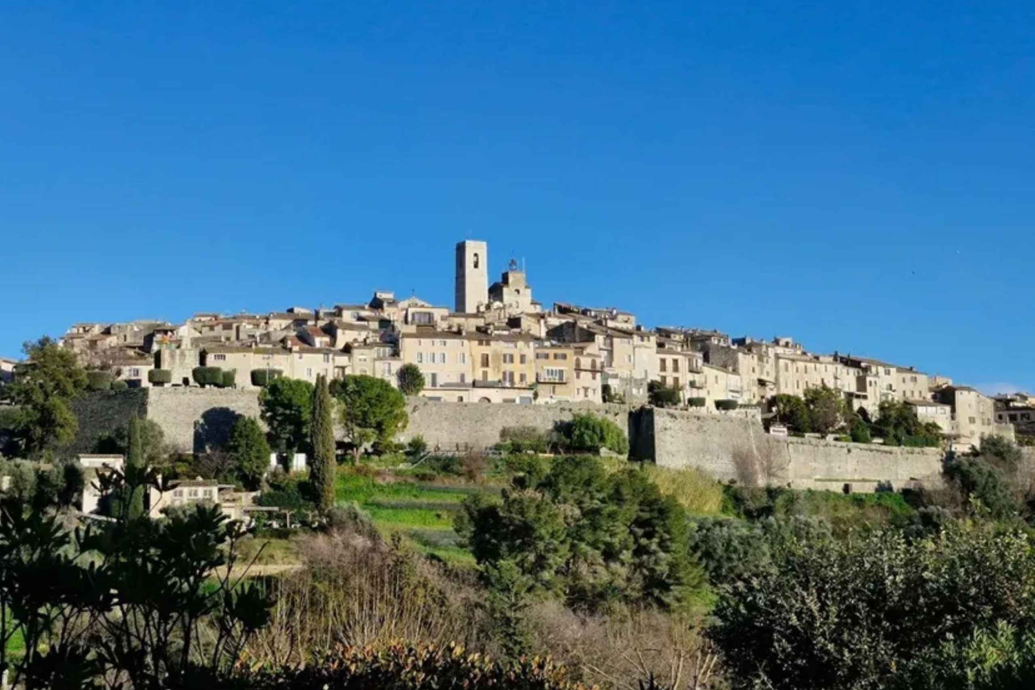 Privat tur til Cannes, Antibes, Mougins og St-Paul-de-Vence