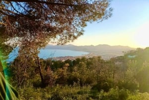 Cannes : au-delà du tapis rouge, visite guidée avec dégustation gastronomique et œnologique