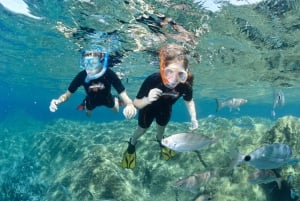 Cannes: Boat and Snorkeling Tour