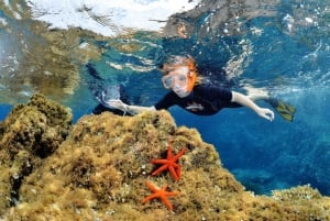 Cannes: tour in barca e snorkeling