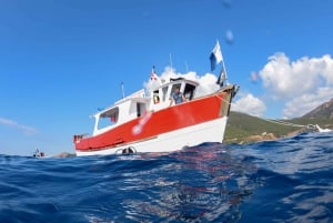 Cannes: Excursión en barco y snorkel