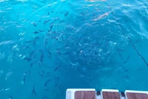 Yacht Me Up All-Inclusive Privat kryssning Cannes Lérins Sail