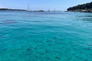 Cannes: Passeio de barco sem licença para as Ilhas Lerins