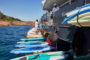 Cannes: catamaranvaart van een halve dag met lunch