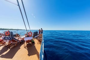 Cannes: medio día de crucero en catamarán con almuerzo