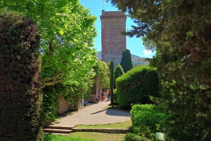 Cannes: visita guiada aos destaques da Riviera Francesa