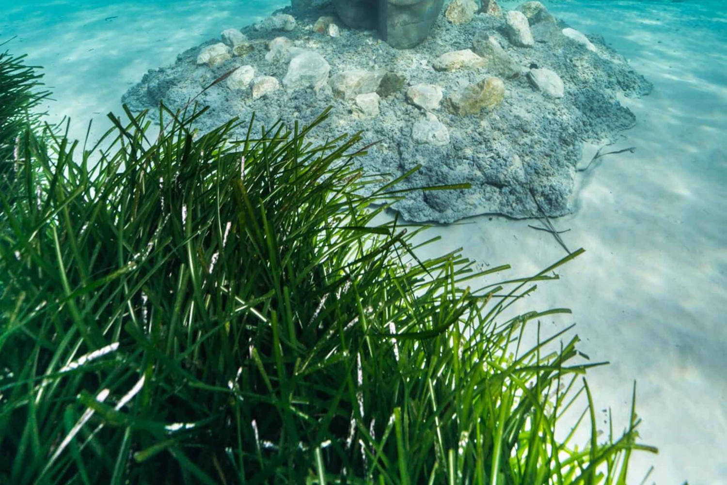 Cannes, Lérinsin saaret: Vierailu ekomuseossa vesiskootterilla