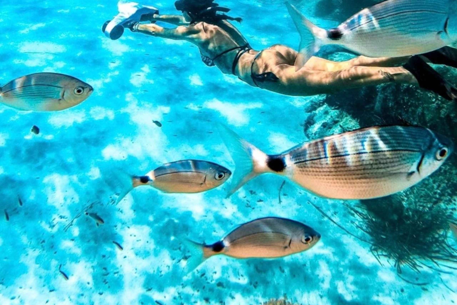 Cannes, Lérinsin saaret: Vierailu ekomuseossa vesiskootterilla