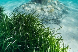 Cannes, Lérinsin saaret: Vierailu ekomuseossa vesiskootterilla