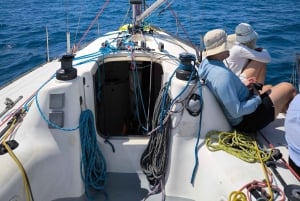 Cannes: Olympic Cruise in the French Riviera