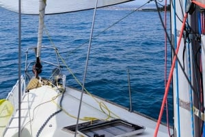 Cannes: Olympic Cruise in the French Riviera