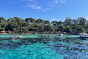 Mandelieu: tour privato in barca all'isola di Lérins