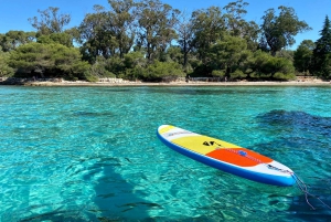 Passeio de barco particular em Cannes às Ilhas Lérins - Relaxe e faça um cruzeiro