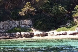 Cannes : Excursion en bateau privé aux îles de Lérins et au Cap d'Antibes