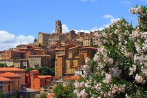 Cannes: Privat rejse til Grasse, Antibes og St. Paul de Vence