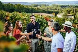 Cannes: Provence Wine Tour - Private Tour from Cannes