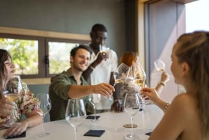 Cannes: Provence Wine Tour - Private Tour from Cannes