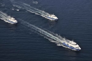 Fra Cannes: Tur-retur med båt til Saint Tropez