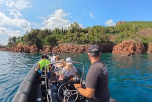 Cannes: RIB-bådtur i naturskønne bugter