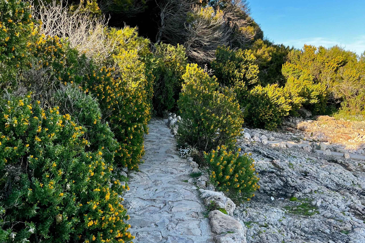 Cap d'Antibes: Interaktiver Rundgang mit Quiz und Fotos