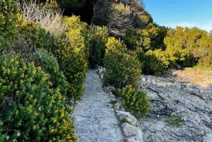 Cap d'Antibes: Interaktiver Rundgang mit Quiz und Fotos