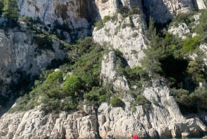 Cassis: Nationaal Park Calanques Tour in zeekajak