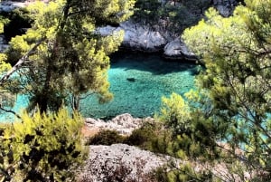 Cassis: Nationaal Park Calanques Tour in zeekajak