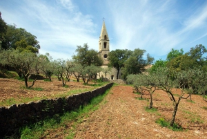 Churches of Provence & French Countryside Private Tour