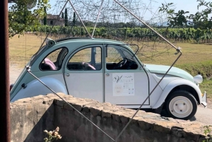 Corniche d'or 2CV Tour met wijnproeverij