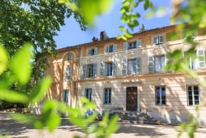 Tour enologico della Côtes de Provence da Nizza