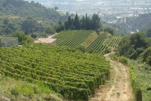 Countryside tour in Provence from Nice