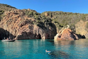 Croisière Calanques de Piana - Baignade bateau 12 Plätze