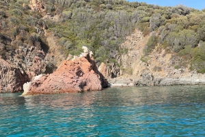 Croisière Calanques de Piana - Baignade bateau 12 Plätze