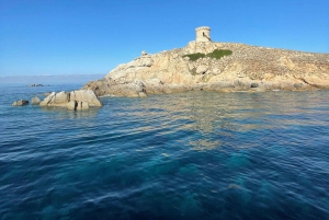 Croisière Calanques de Piana - Baignade bateau 12 Plätze