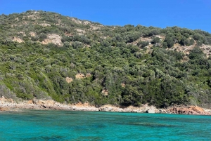 Croisière visite des Calanques de Piana Baignade en vedette