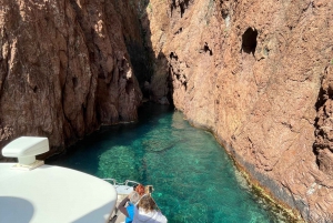 Croisière visite des Calanques de Piana Baignade en vedette