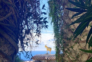 Excursión de un día de Niza a Menton y la Riviera italiana