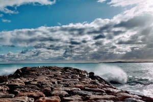 Excursión de un día de Niza a Menton y la Riviera italiana