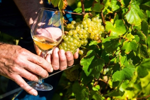 Day tour perfumery and wine